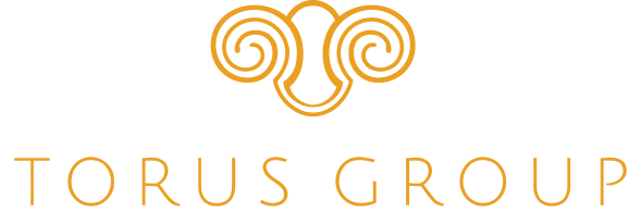 TORUS GROUP logo